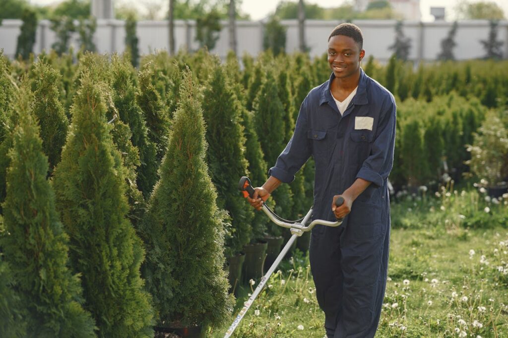 Landscaper Tempe AZ