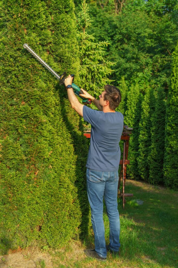 Landscaper in Tempe AZ